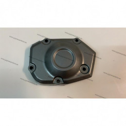 TAPA PICKUP KAWASAKI Z900