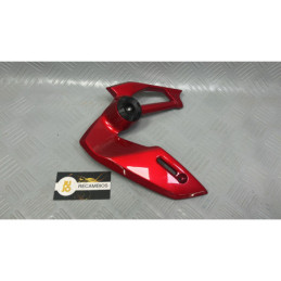 CARENADO KAWASAKI Z900 (2025)