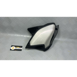 CARENADO KAWASAKI Z900 (2025)