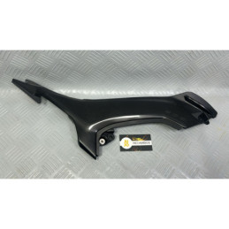 CARENADO KAWASAKI Z900 (2025)