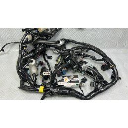 INSTALACION ELECTRICA (1) KAWASAKI Z900 (2025)