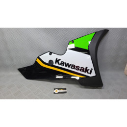 CARENADO KAWASAKI NINJA ZX-10R (2026)