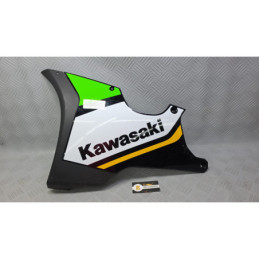 CARENADO KAWASAKI NINJA ZX-10R (2026)