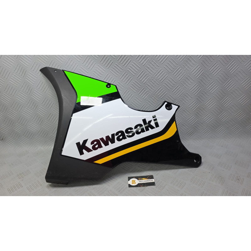 CARENADO KAWASAKI NINJA ZX-10R (2026)